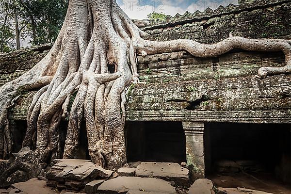 Travel Cambodia concept background