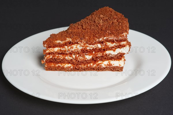 Piece of chocolate biscuit cake