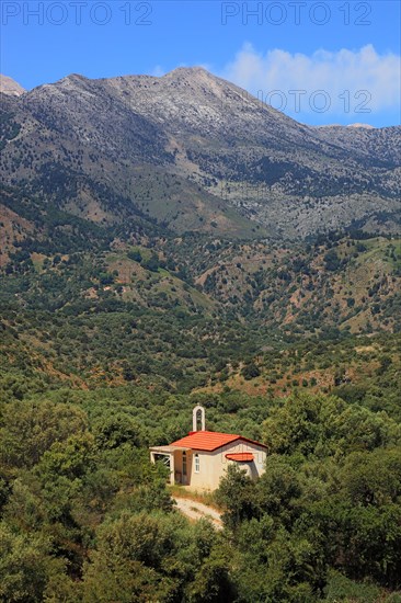 Small church surrounded by olive trees in the Levka Ori area