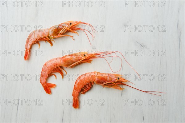 Top view of unpeeled shrimp with head on wooden table