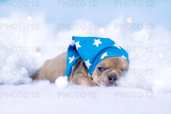 Sleepy French Bulldog puppy with nightcap lying between fluffy clouds and stars