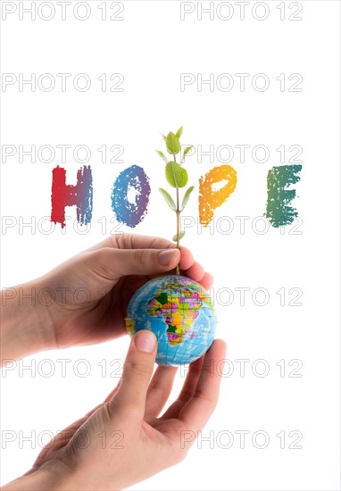 Hand holding a tree seedling on globe in hand on white background