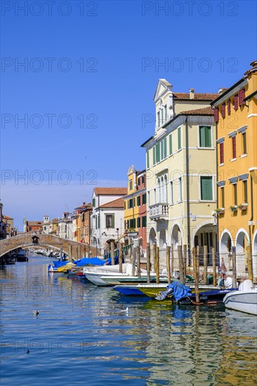 Canale Vena