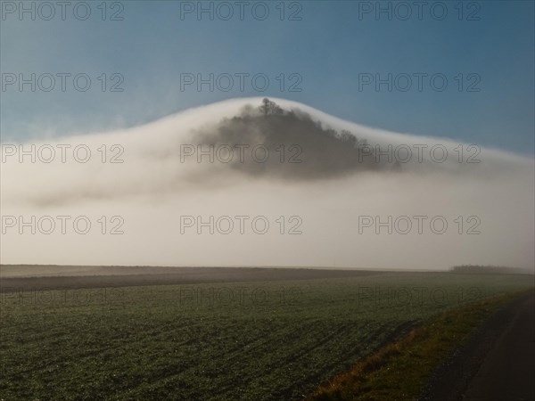 View of the Hohenkarpfen in the fog