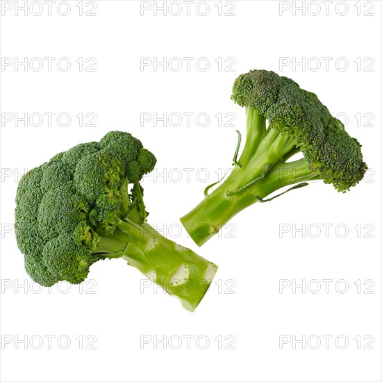 Top view of fresh broccoli isolated on white background