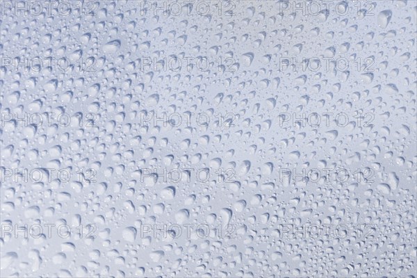 Texture with water drops. Resolution and high quality beautiful photo