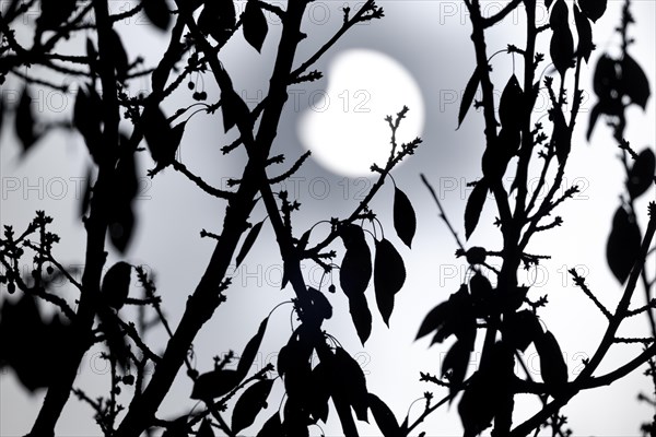 Partial solar eclipse on 25. 10. 2022