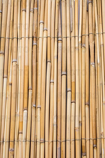 Mat as straw as abstract texture pattern