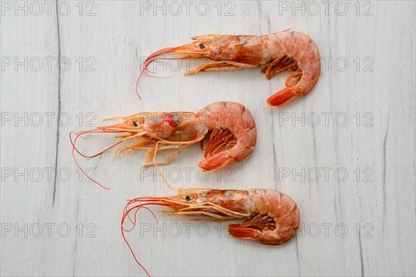 Three fresh raw prawns on wooden background