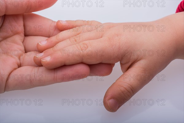 Child and grown up hands together on a white backgkround