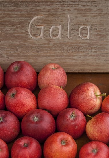 Apples