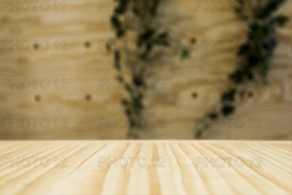 Wood texture. Resolution and high quality beautiful photo