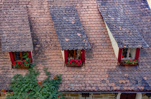 Roof of the Old Forge