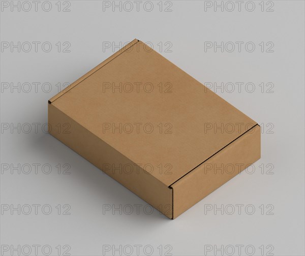 Brown copy space cardboard box