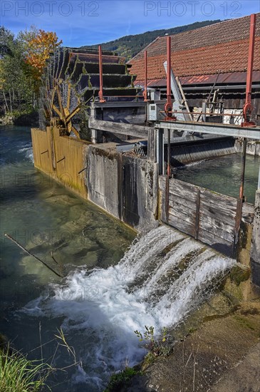 The hammer mill with water wheel