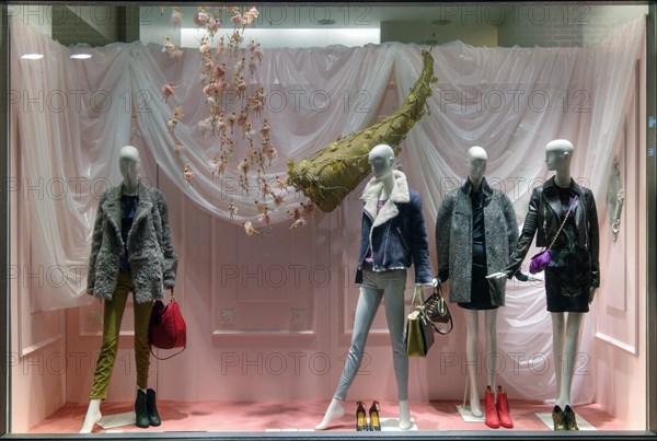 Shop window