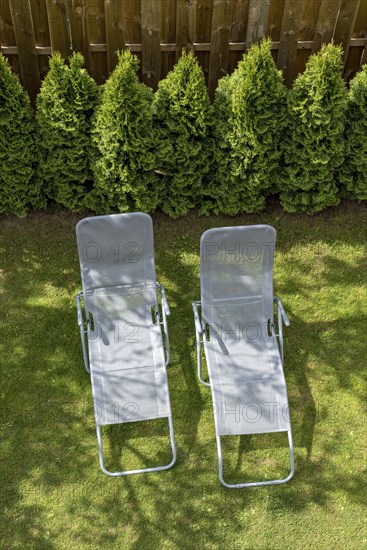Two garden loungers in a meadow
