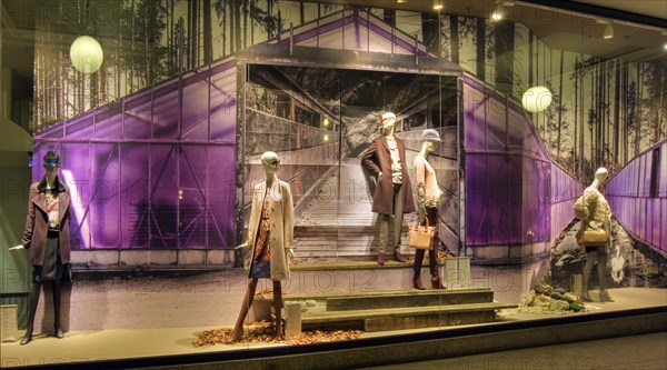 Shop window