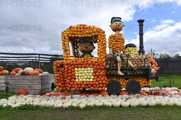 Figure Locomotive Pumpkins