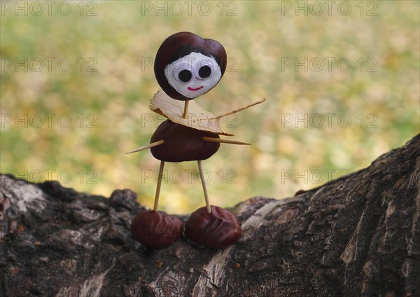 Cute chestnut figure on birch trunk