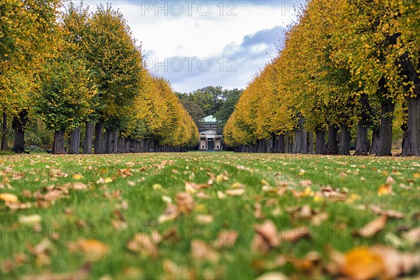 Autumn leaves in a meadow in front of the Guelph Mausoleum