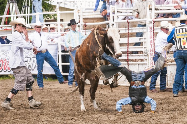 Rider being thrown during junior bull riding