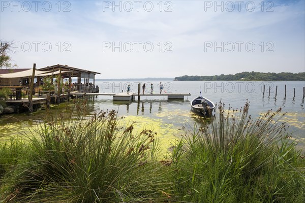 Lagoon