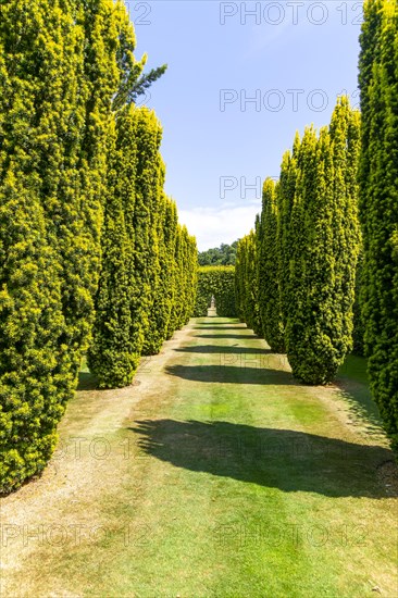 Green Court