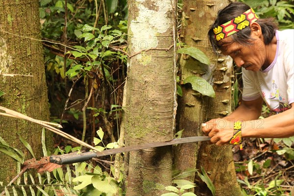 Indigenous people