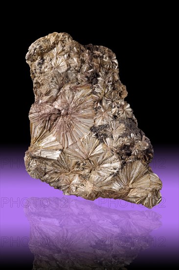 Pyrophyllite from the Ward Mine