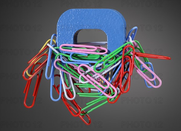 Alnico Horseshoe Magnet and Paper Clips