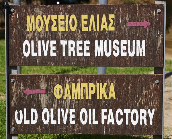 Olives
