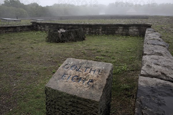Memorial stone for the Goethe Oak at beech forest Concentration Camp