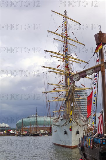 The Dar Mlodziezy in the harbour