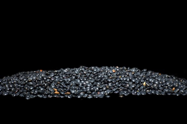 Beluga Lentils