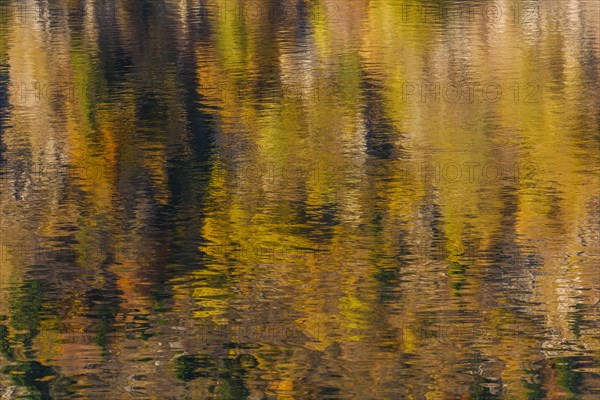 Reflections of trees in the mountain lake on a beautiful autumn day. White Lake