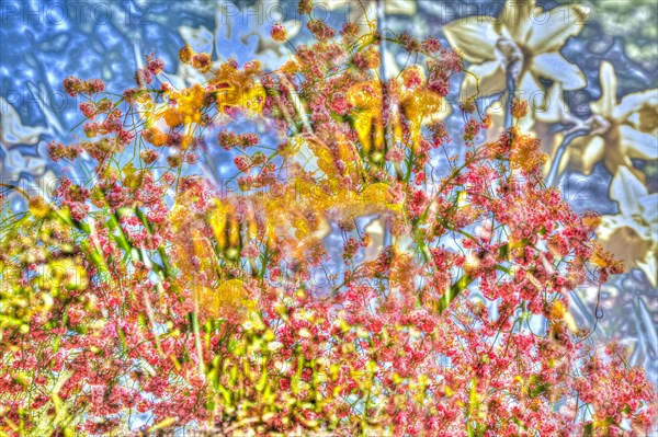Flowers creative