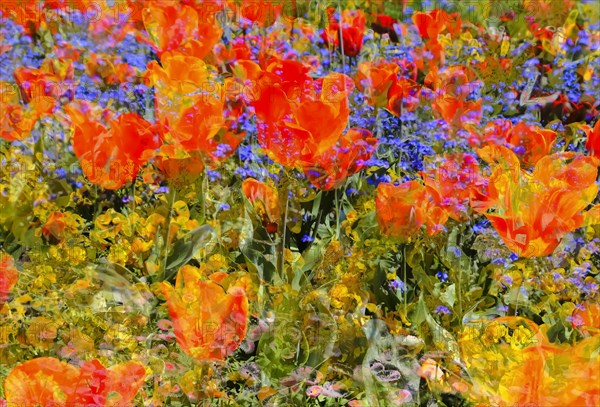 Flowers creative