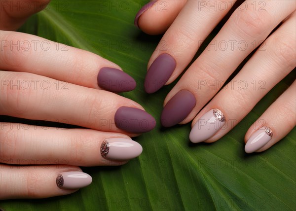 Tender neat manicure on female hands on a background of green leaves. Nail design