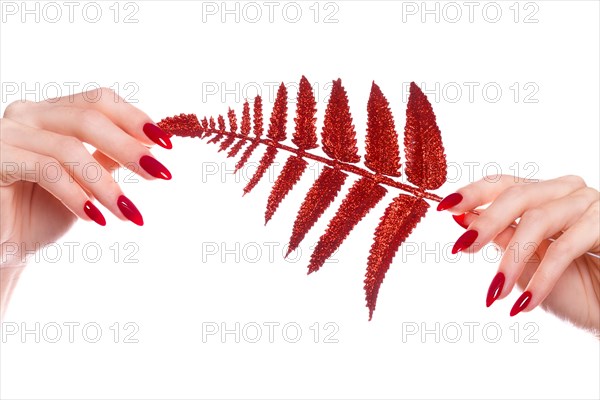 Bright festive red manicure on female hands. Nails design