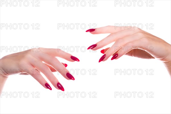 Bright festive red manicure on female hands. Nails design