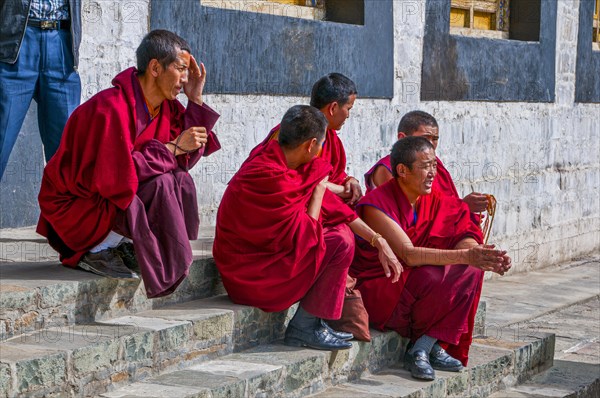 Young monks