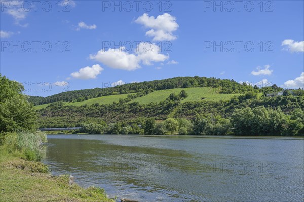 River Main near Zellingen