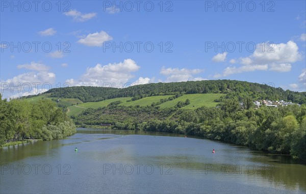 River Main near Zellingen