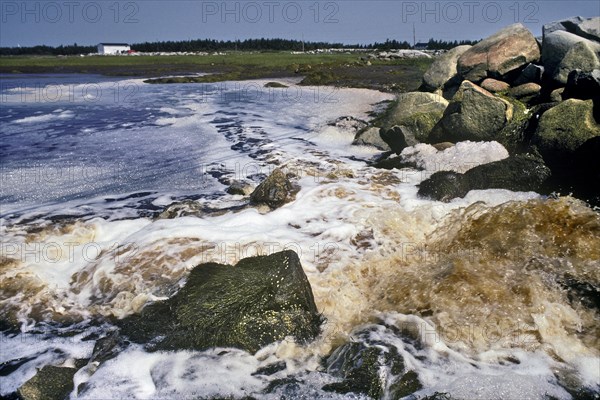 Dumpinig of Untreated Sewage into Tidal Basin