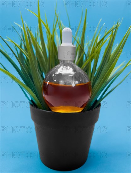 Bottle of oil for nail cuticles