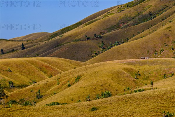 Eroding savanah hills on the east coast near Manakara on the east coast of Madagascar
