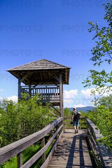 Viewing tower