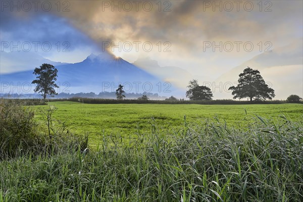 Morning atmosphere at Lake Lauerz with reed belt