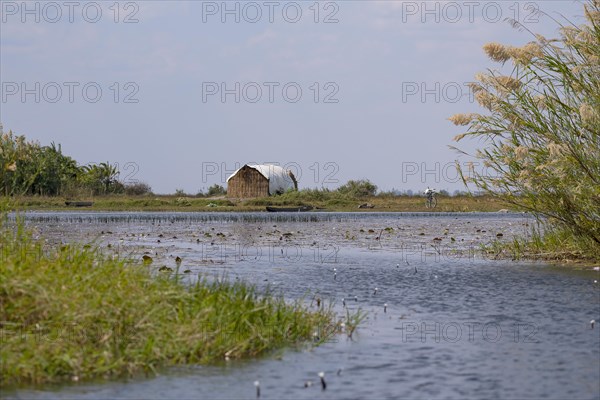 Hut and bike in the swamp
